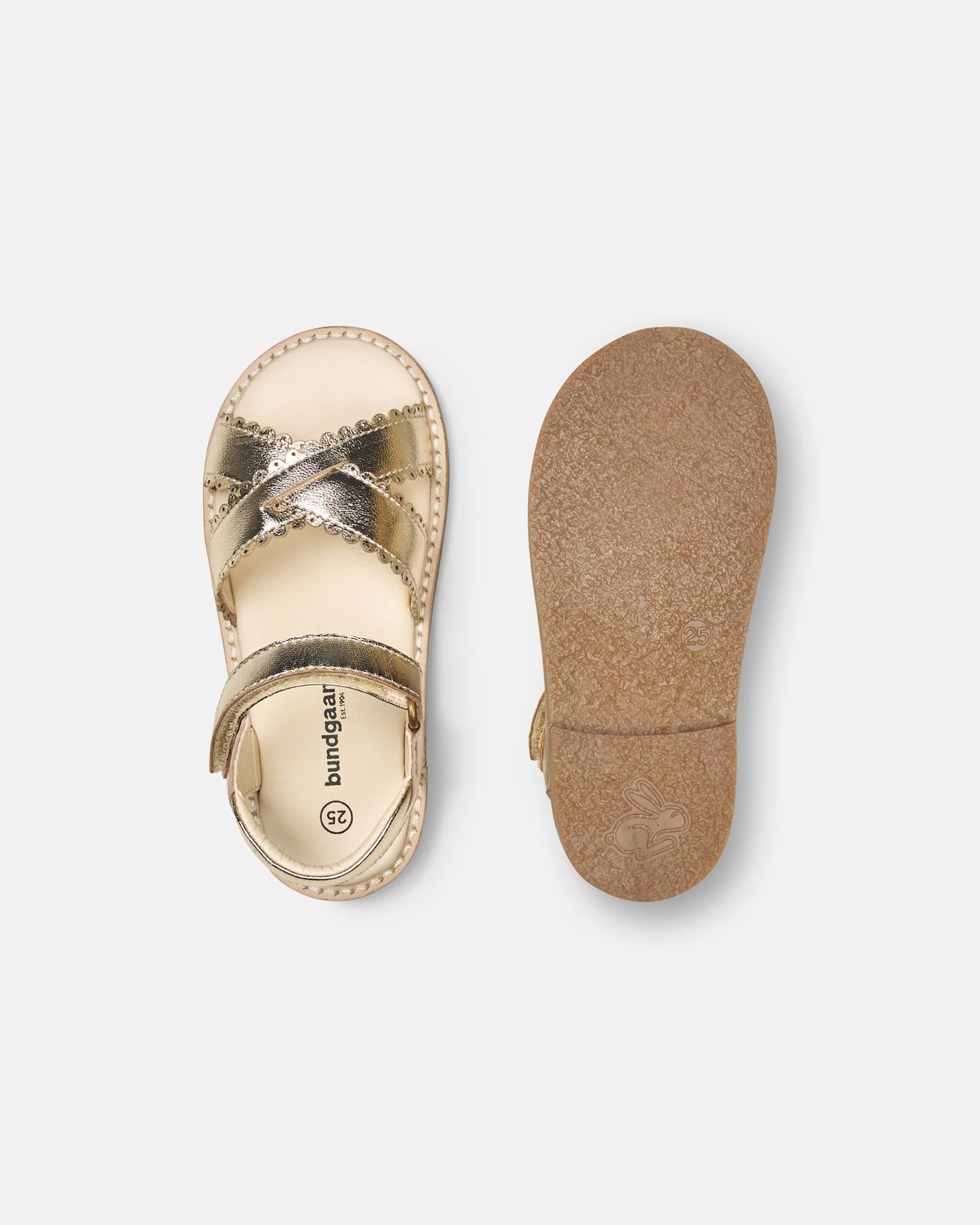 Laura Scallop Goldie