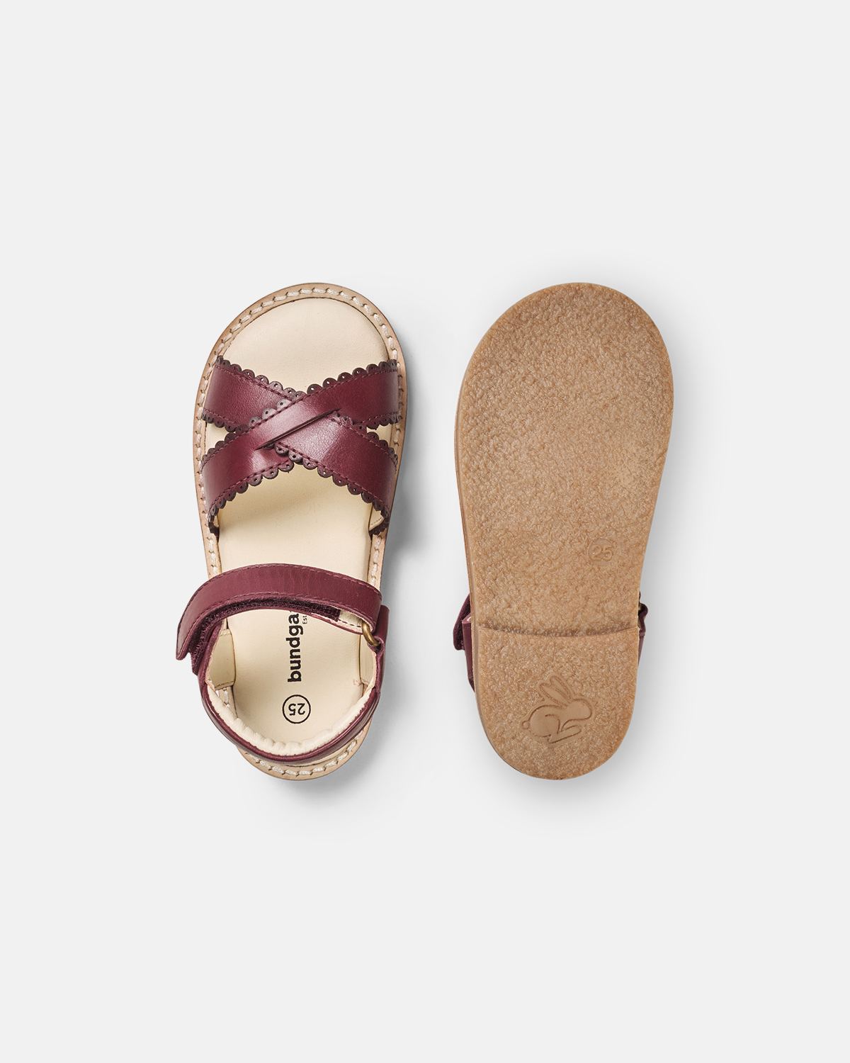 Laura Scallop Berry