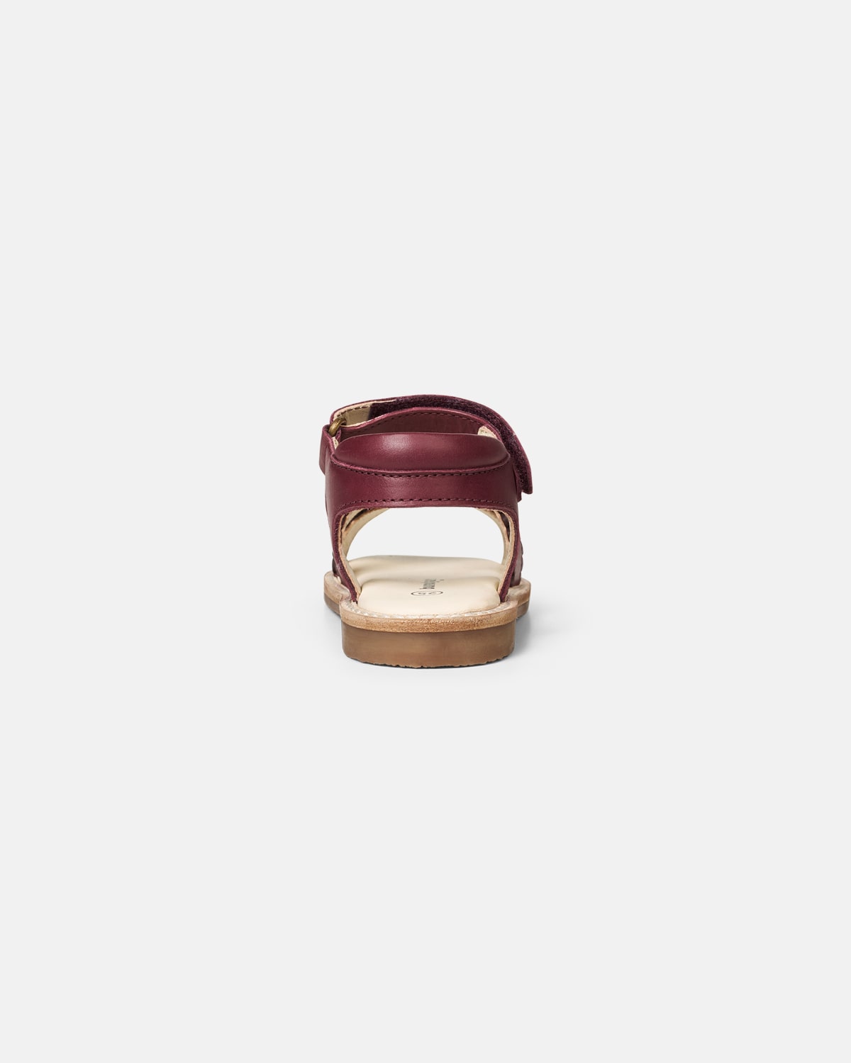 Laura Scallop Berry