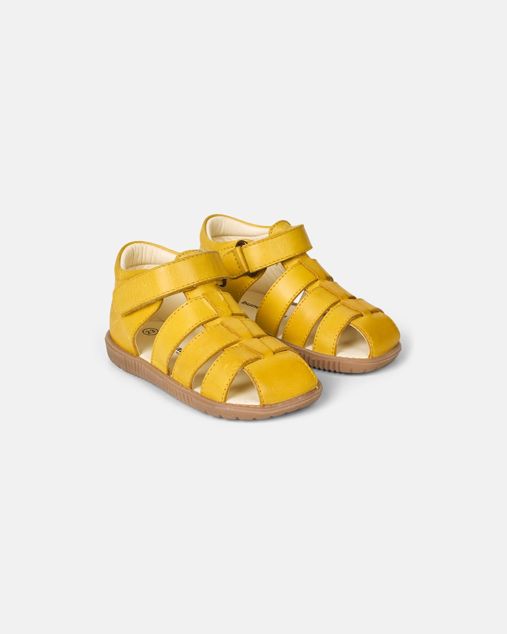 Rollo Sunny
