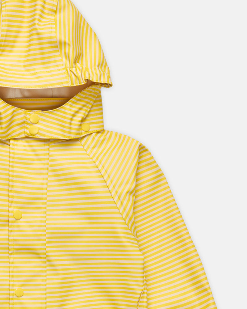 Cali Sunflower Stripe